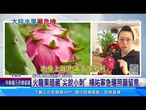 火龍果刺到|火龍果刺：危害還是益處